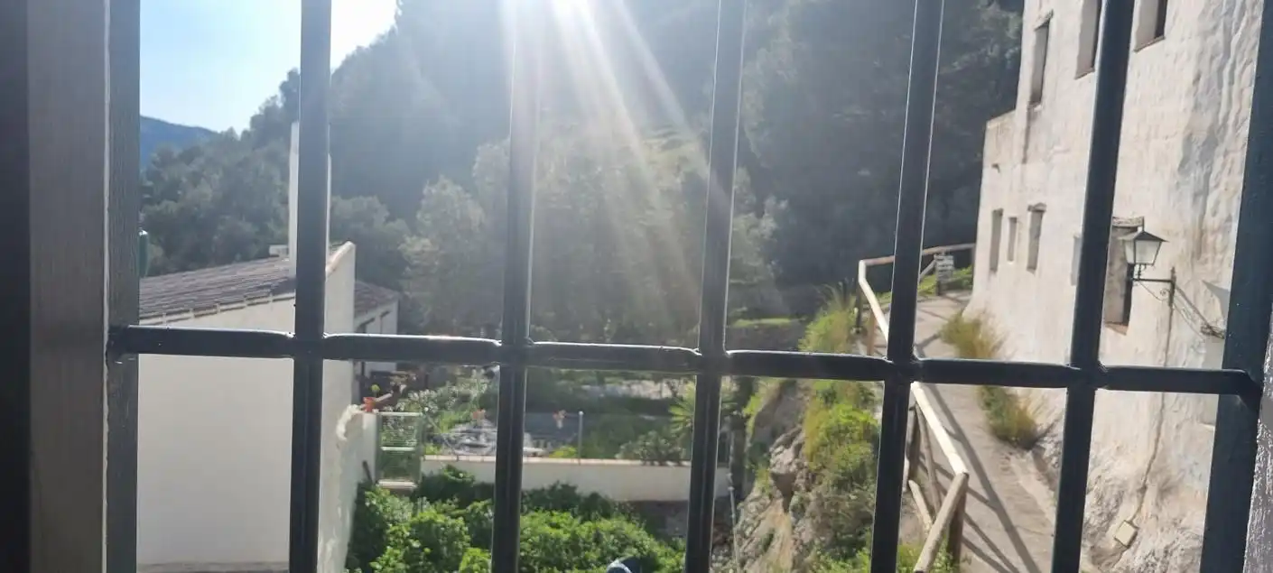 Garden of Detached homes for sale in Cómpeta  with Terrace and Swimming Pool
