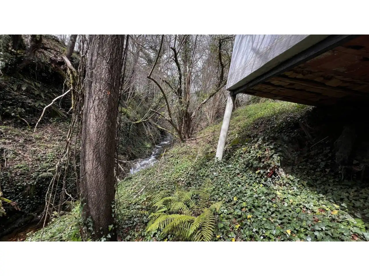 Vista exterior de Casa o xalet en venda en Merindad de Montija amb Calefacció, Jardí privat i Parquet