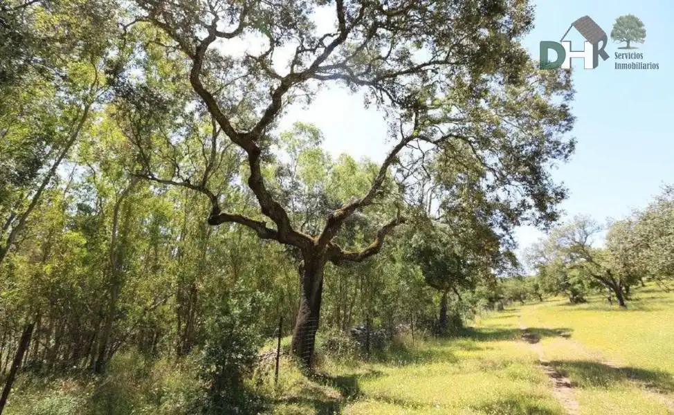 Terreni e lotti in vendita a San Roque - Ronda Norte, imagen 3