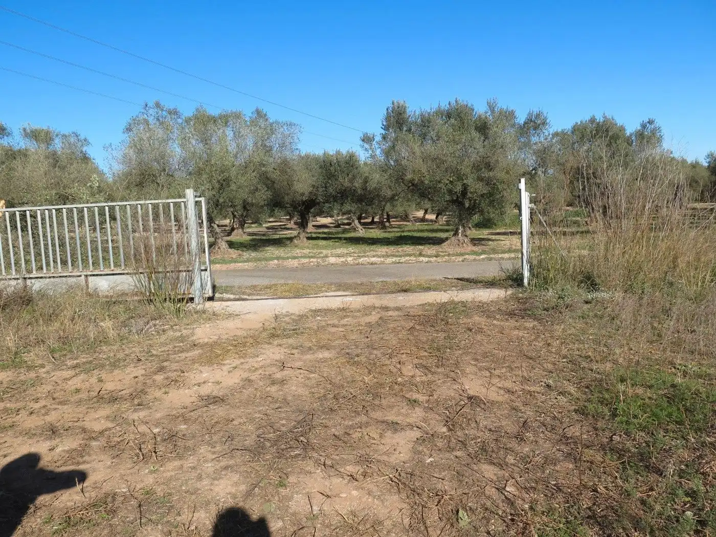 Terreno rustico in vendita a Godall, imagen 4
