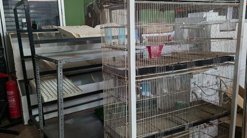 Foto 4 von Geschaftsraum zum Verkauf in Estación - La Fontanilla - El Tinte, Utrera
