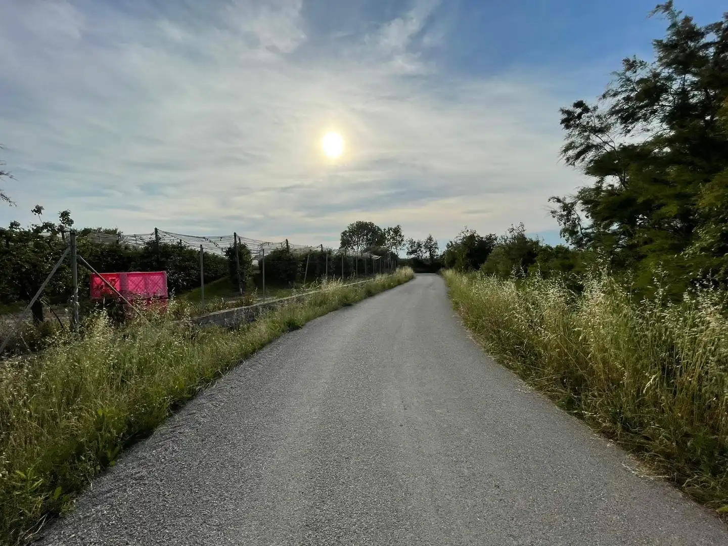 Rural land for sale in Sant Pere Pescador, imagen 33