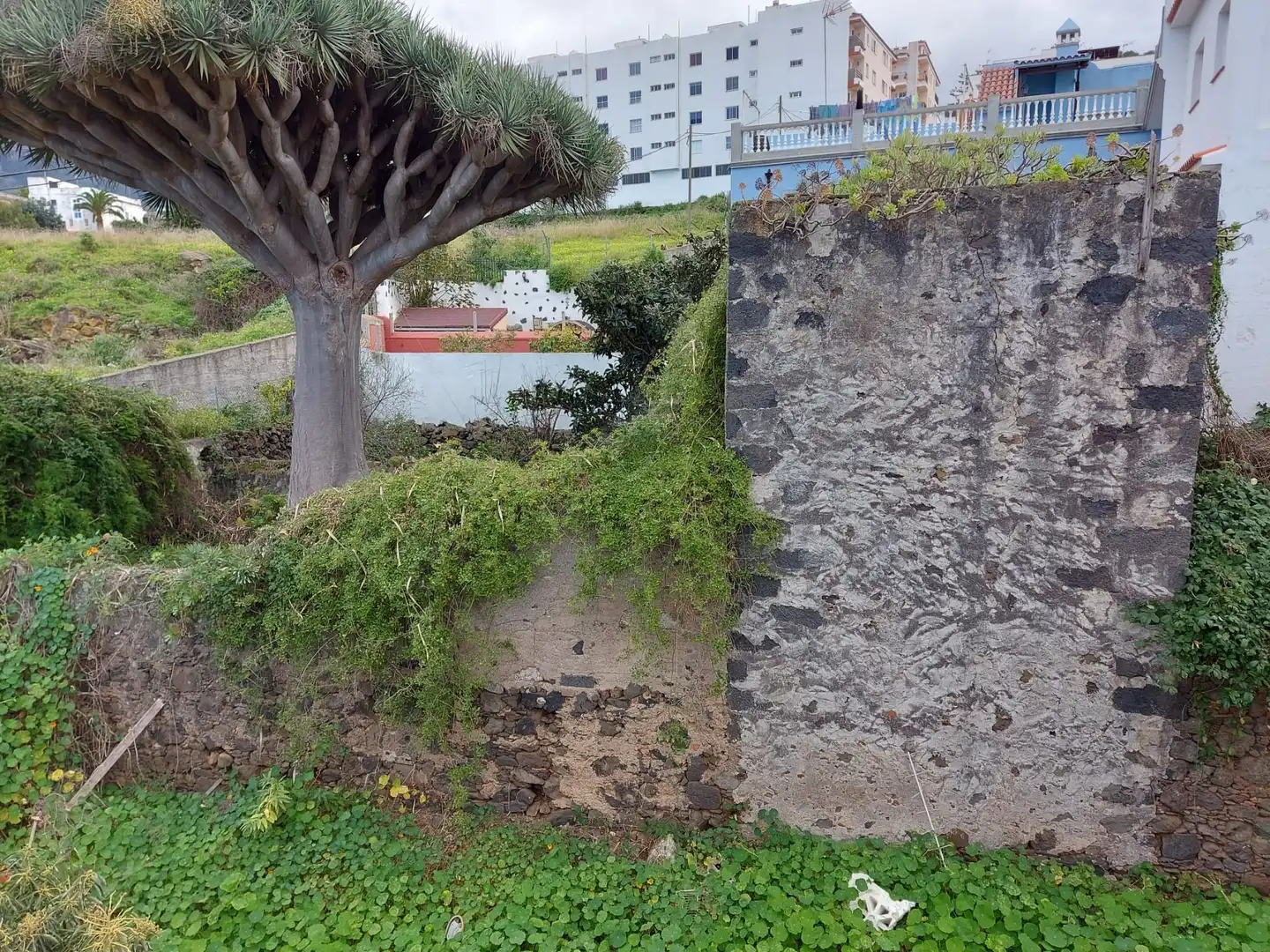 Terreno residencial en venta en Centro, imagen 8