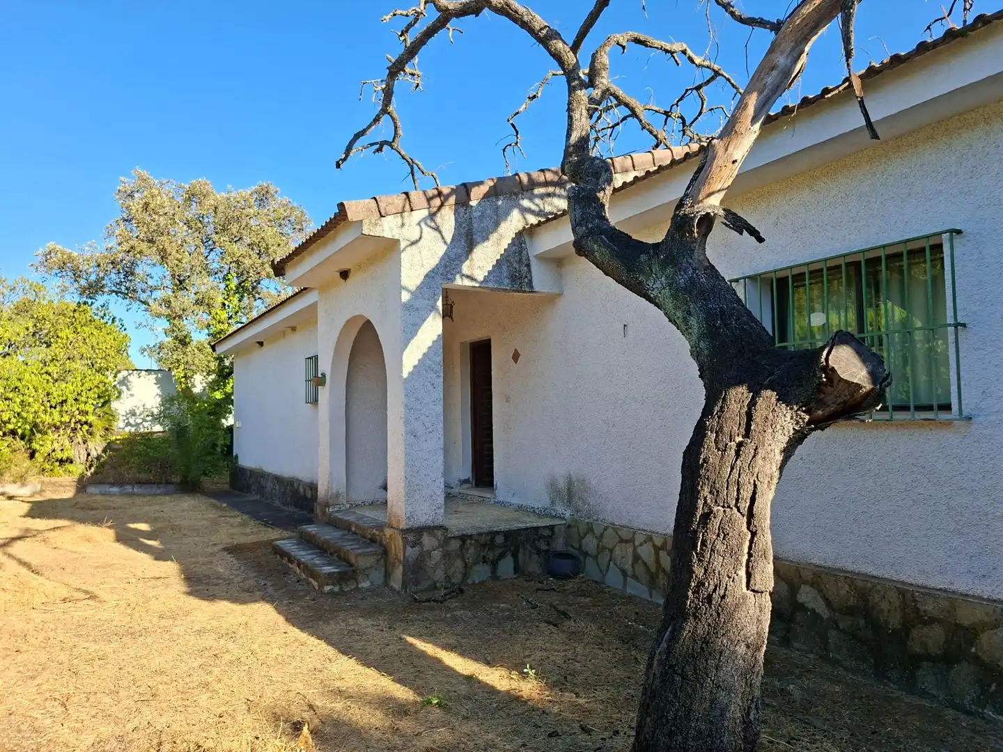 Vista exterior de Casa o chalet en venta en Guillena con Aire acondicionado, Jardín privado y Terraza