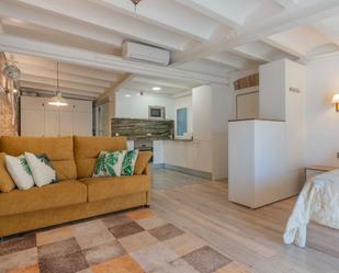 Sala d'estar de Loft de lloguer en  Barcelona Capital amb Aire condicionat, Terrassa i Balcó