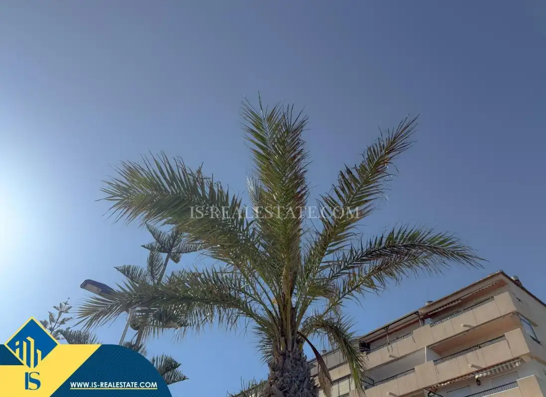 Àtic amb ascensor en venda a Playa de los Locos, imagen 32
