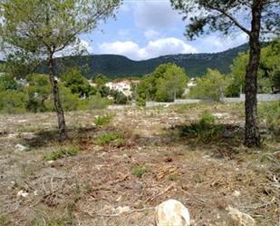 Terreny industrial en venda en La Bisbal del Penedès