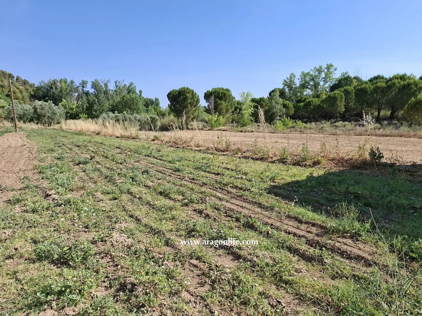 Finca rústica en venda en Mazaleón