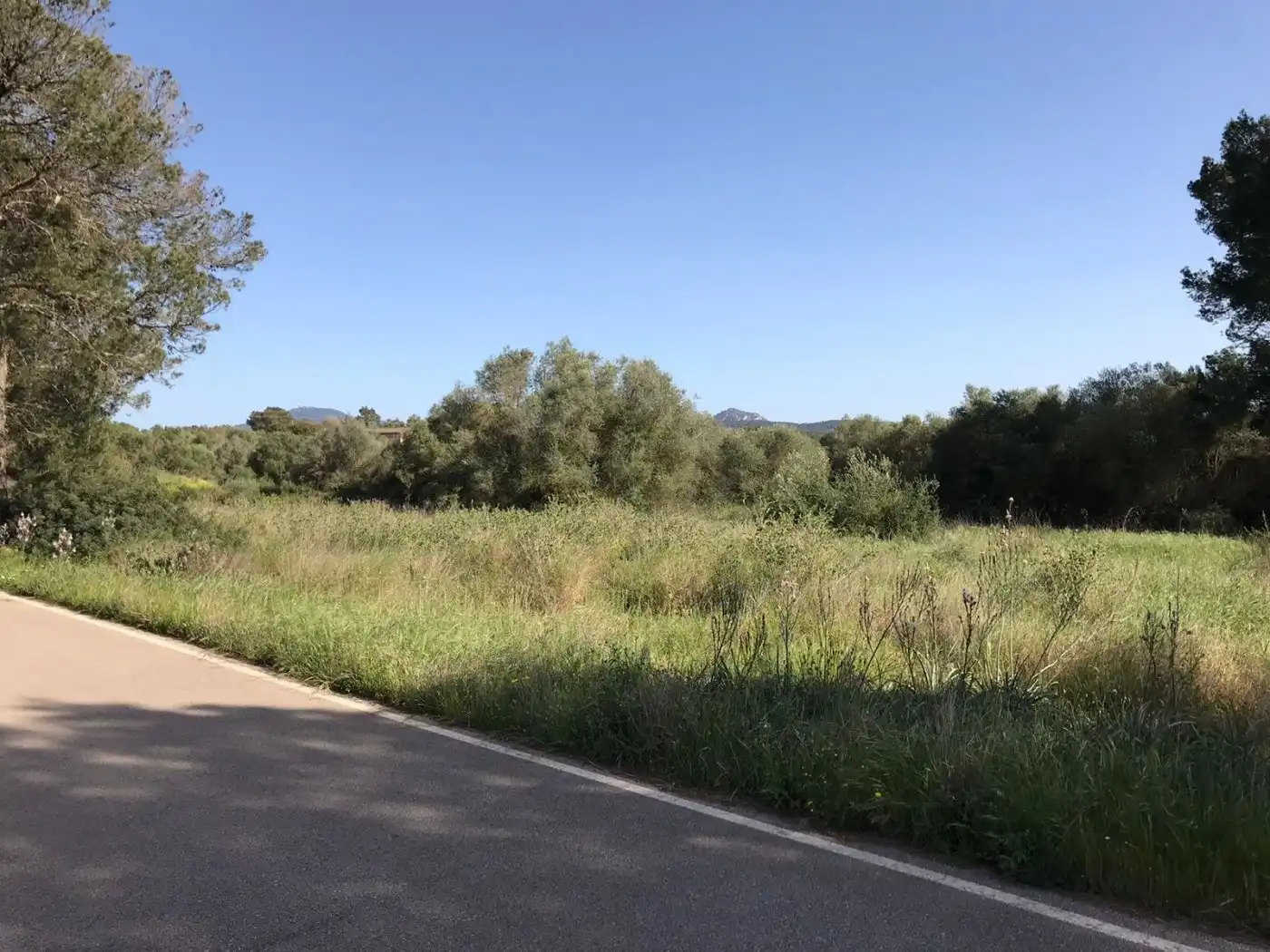 Terrenys i solars en venda a Algaida, imagen 16