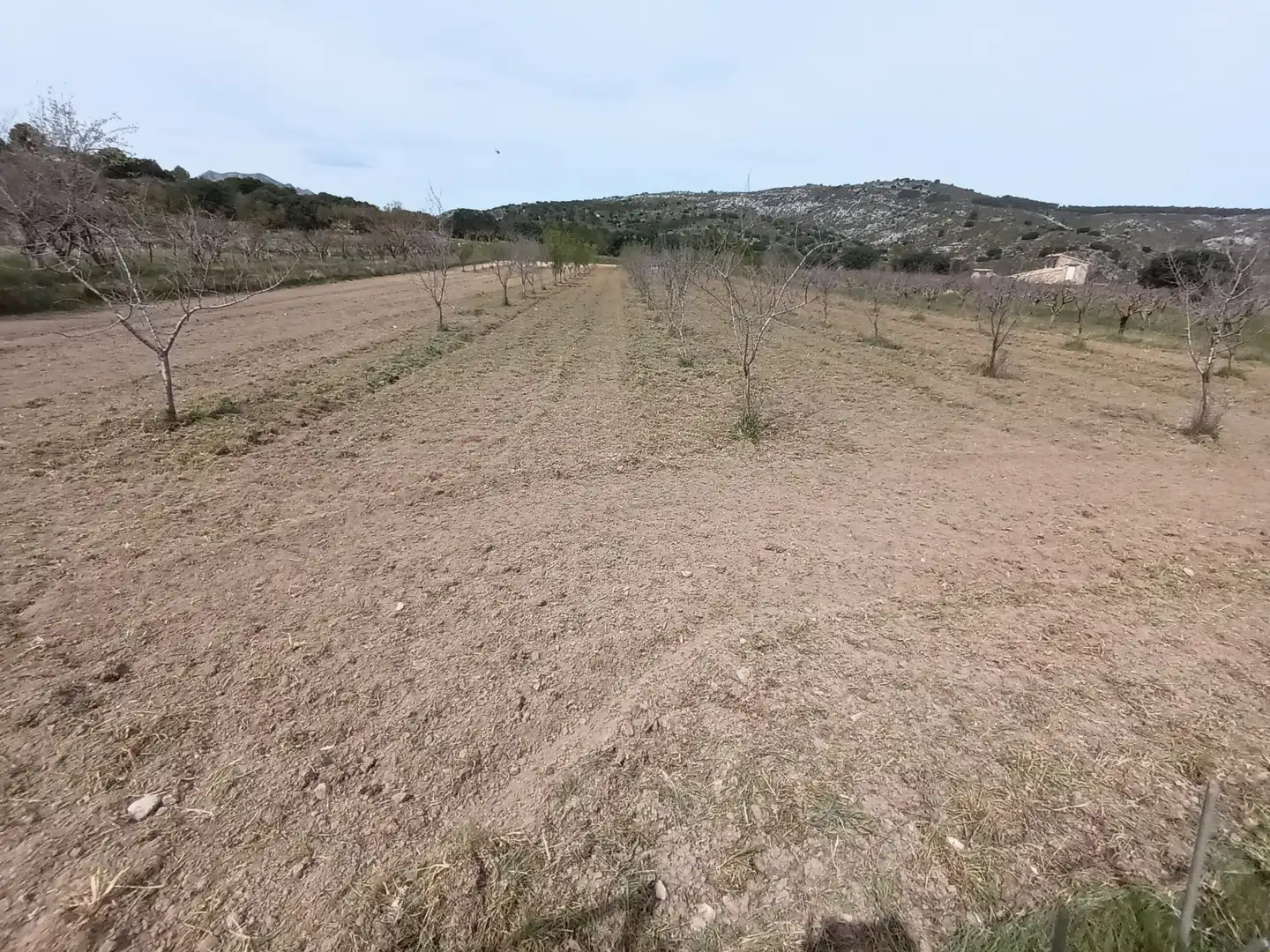 Terreno rústico en venta en Castell de Castells, imagen 2