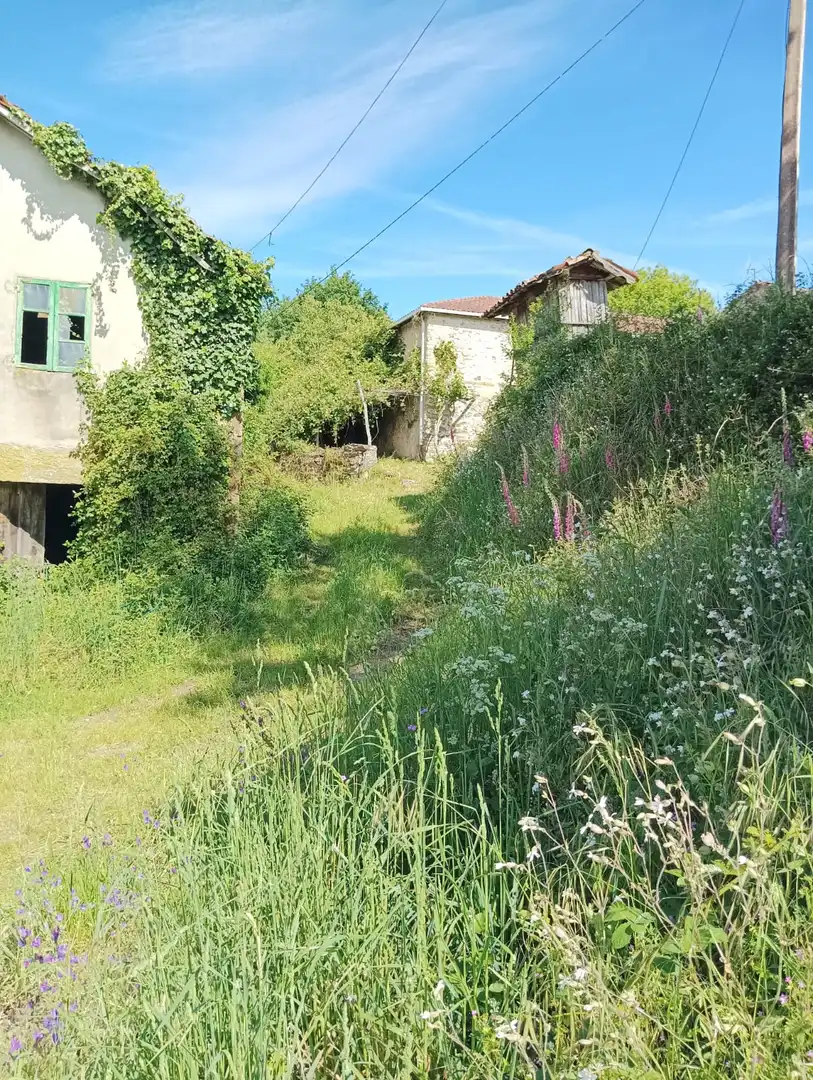 Terreni e lotti in vendita a Chantada, imagen 4