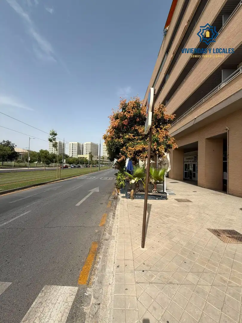 Local de alquiler en Avenida de la Ilustración, 67, Campus de la Salud