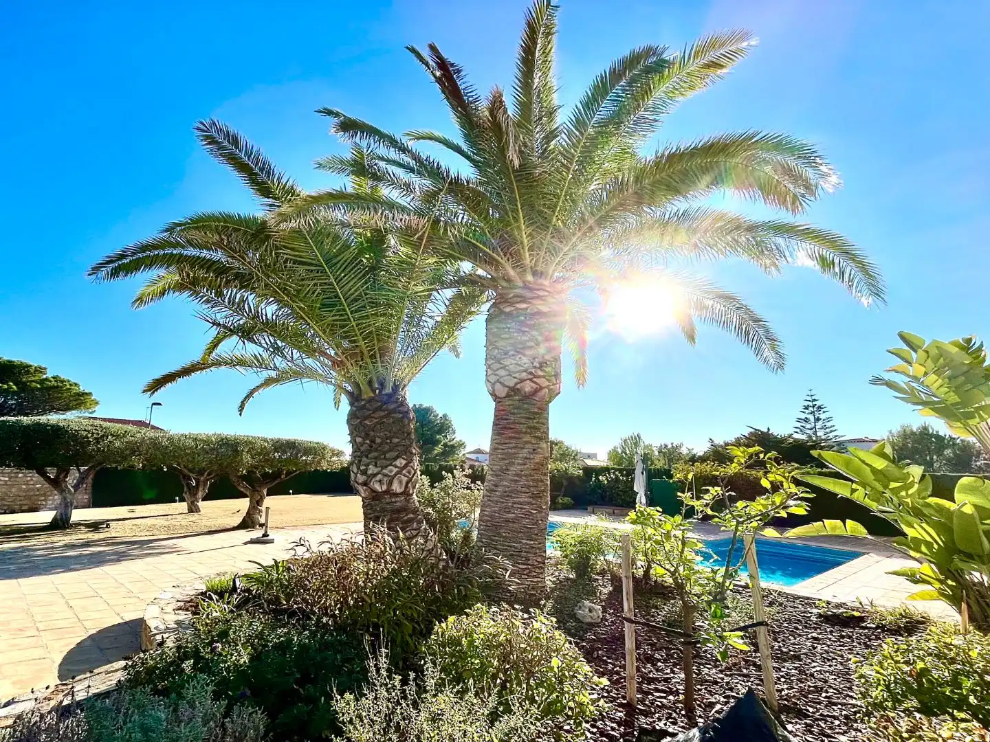 Jardín de Casa o chalet en venta en L'Ametlla de Mar  con Aire acondicionado, Terraza y Piscina
