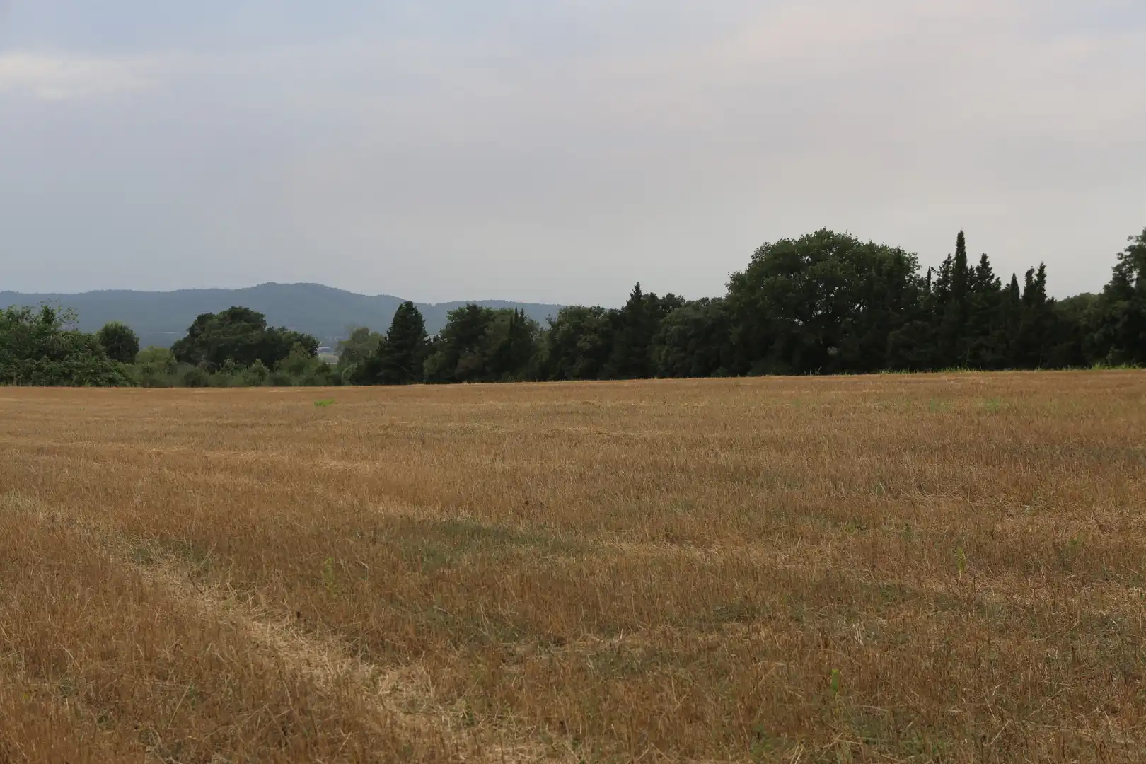 Finca rústica en venda en Begur amb Jardí privat