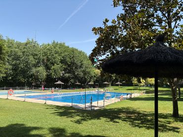 Pis amb piscina en venda a Calle de Ramírez de Arellano