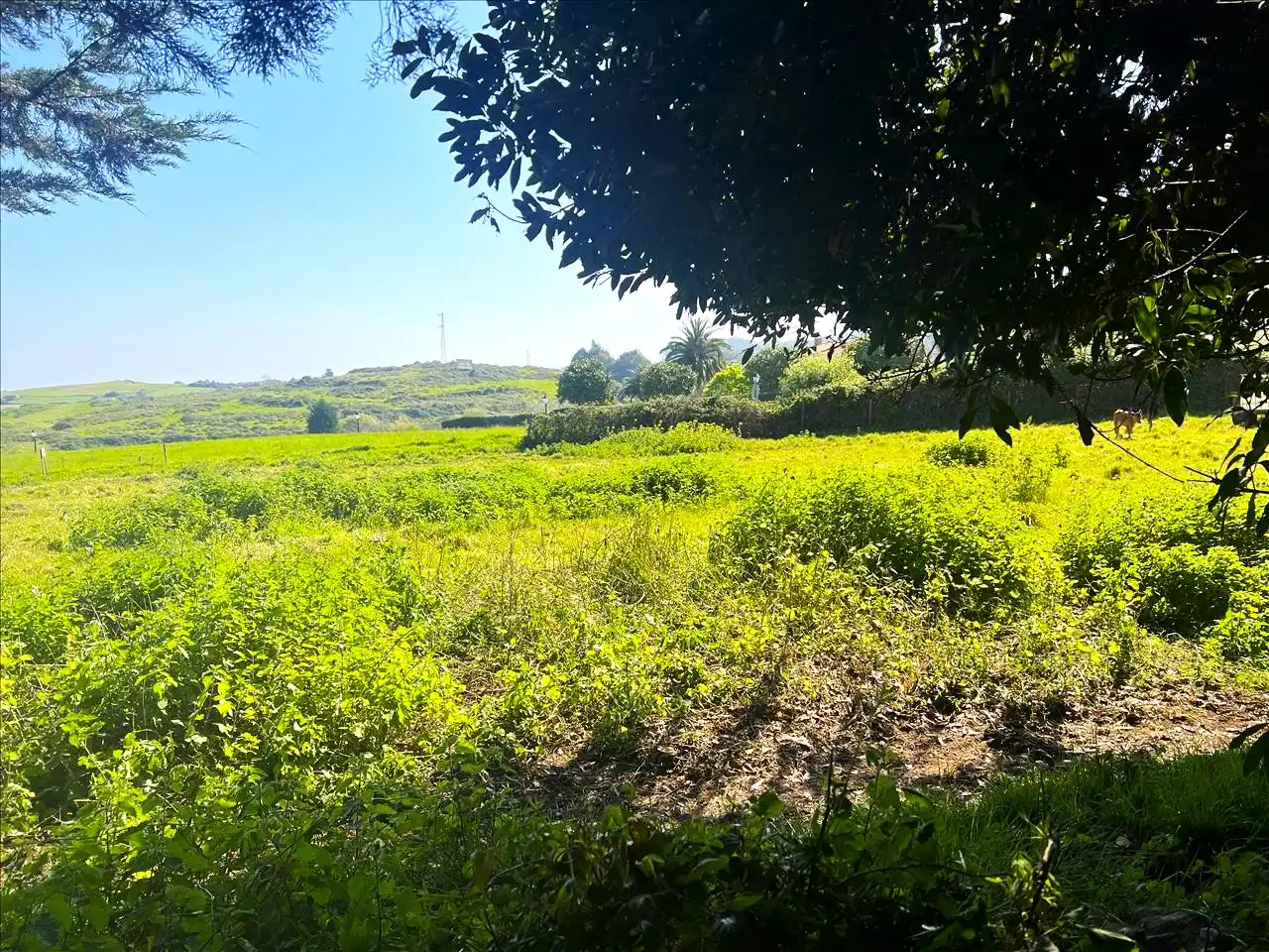 Residential for sale in LA BARAGAÑA-DUE, Caravia