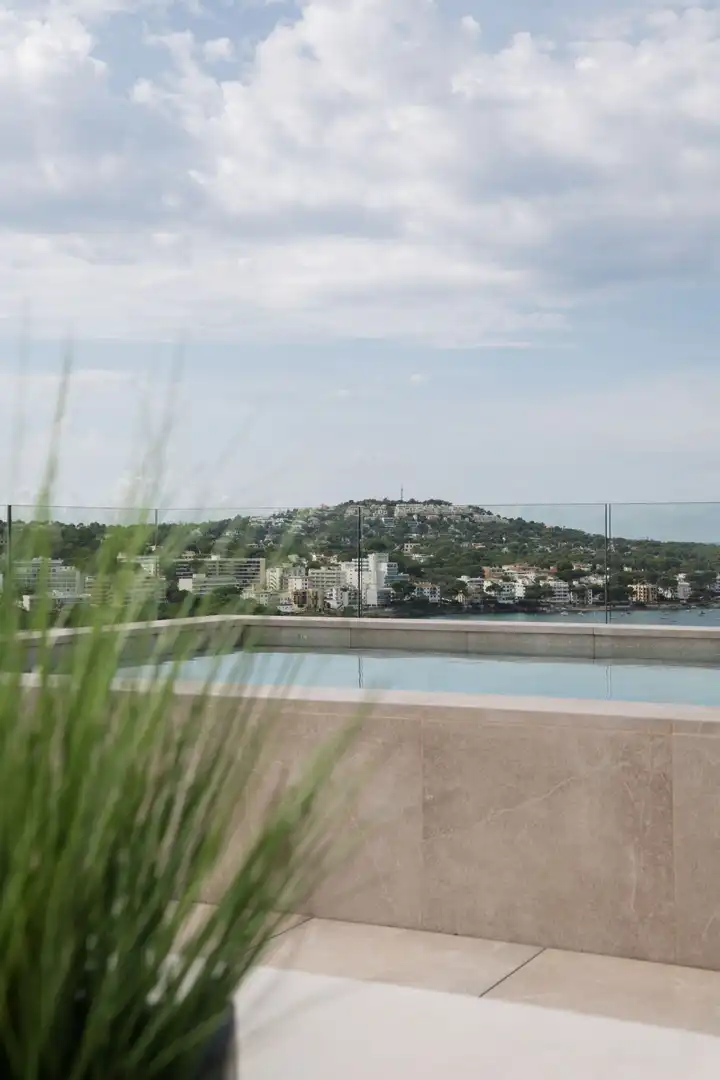 Attique avec terrasse à vendre à Costa de la Calma, imagen 4