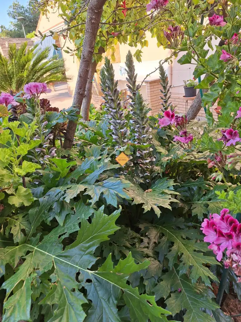 Jardí de Casa o xalet en venda en Paterna amb Aire condicionat, Calefacció i Jardí privat