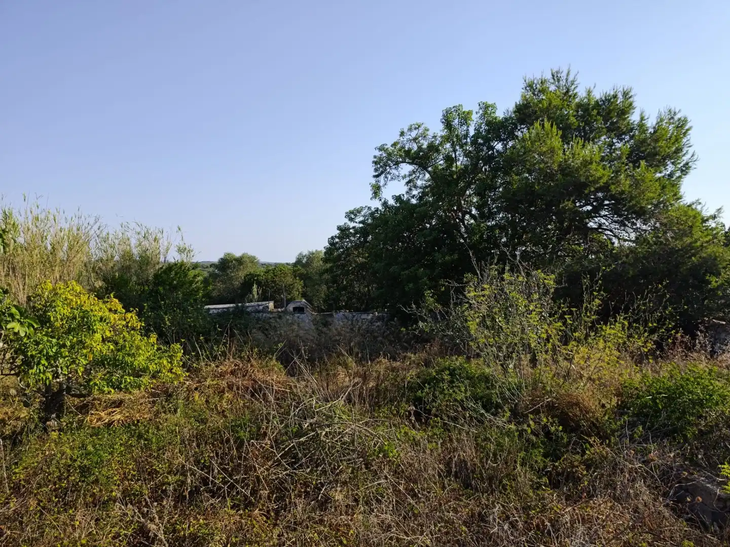 Casa con jardín en venta en Sant Lluís - S'Ullestrar - Torret, imagen 5
