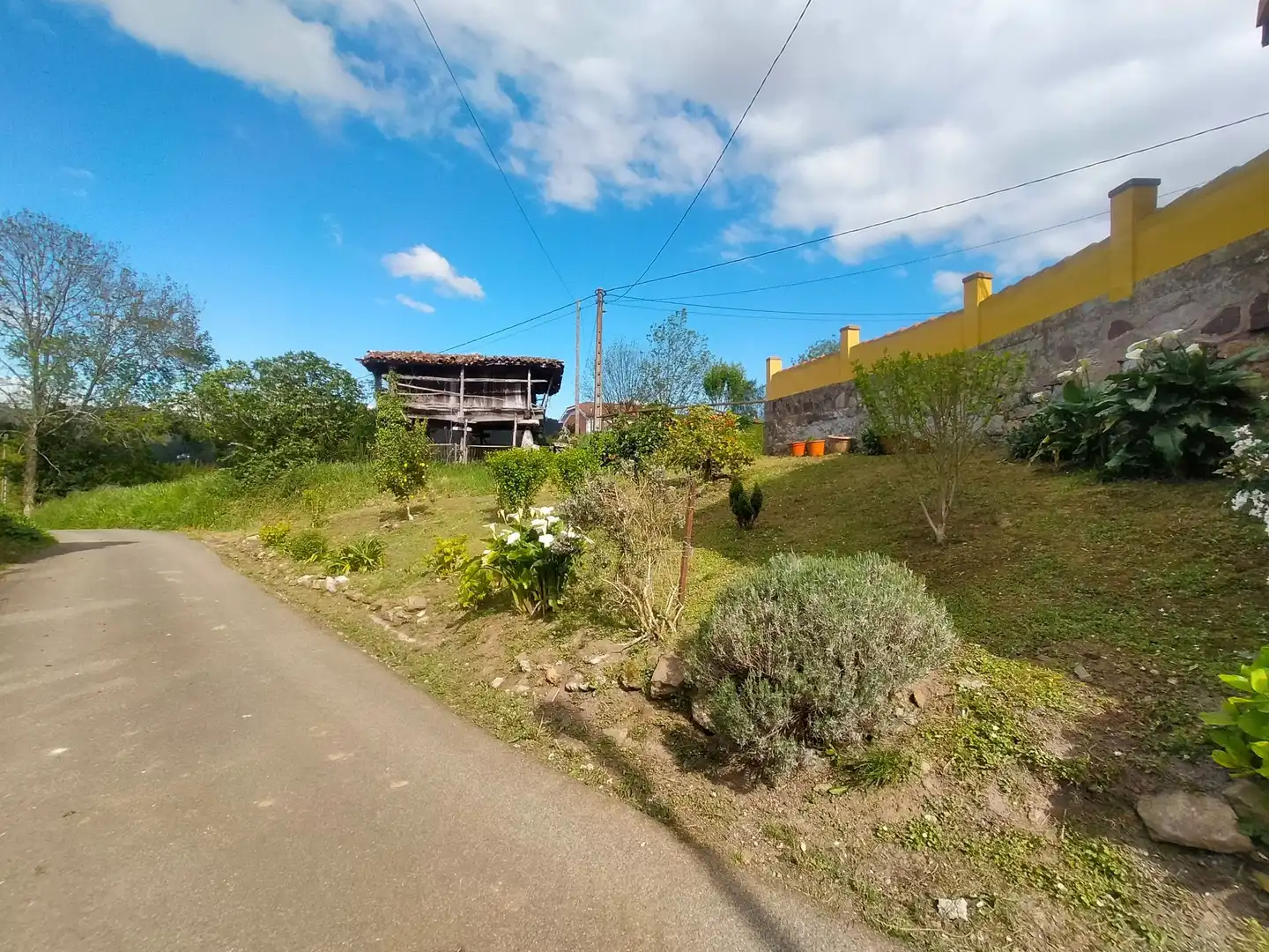 Terrenys i solars en venda a Candamo, imagen 20
