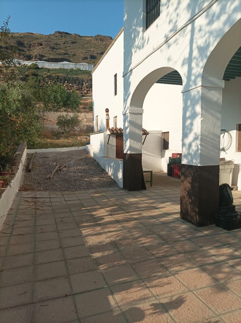 Vista exterior de Finca rústica en venda en El Ejido amb Jardí privat, Moblat i Balcó