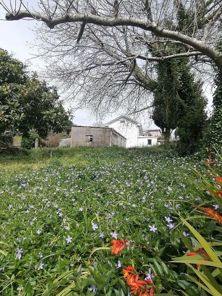 Casa con jardín en venta en A Malata - Catabois - Ciudad Jardín, imagen 2