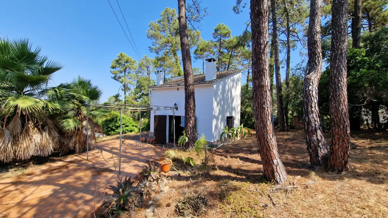 Jardí de Casa o xalet en venda en Lloret de Mar amb Jardí privat