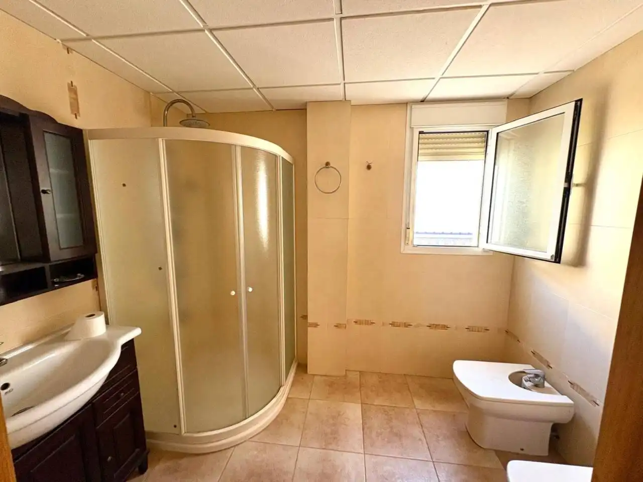 Baño de Casa o chalet en venta en San Gabriel - Palmeral - Urbanova