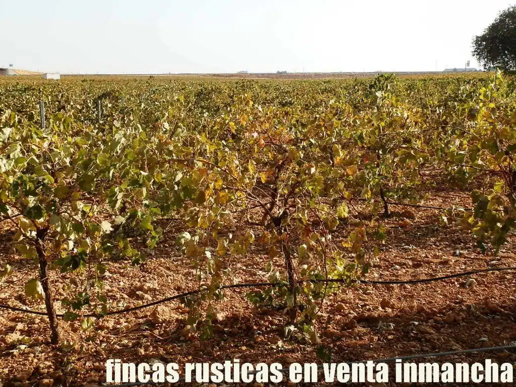Terrenys i solars en venda a Almagro, imagen 6