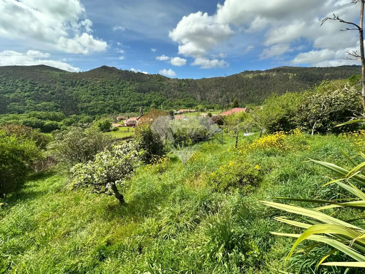 Casa o chalet en venta en A Lama   con Calefacción, Jardín privado y Piscina