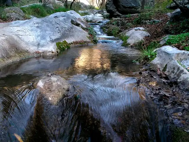 Terreny rústic en venda a Algarrobo pueblo, imagen 8