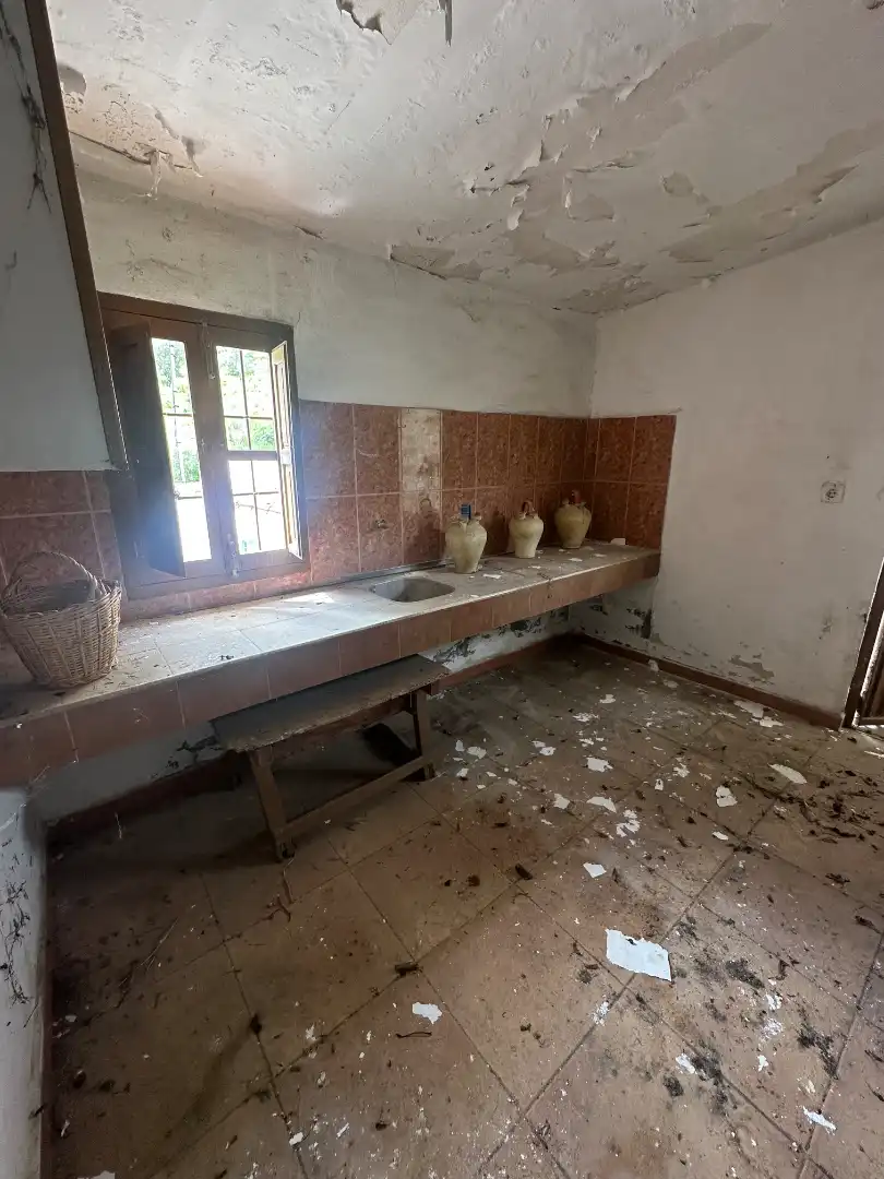 Cocina de Finca rústica en venta en Iznate con Jardín privado