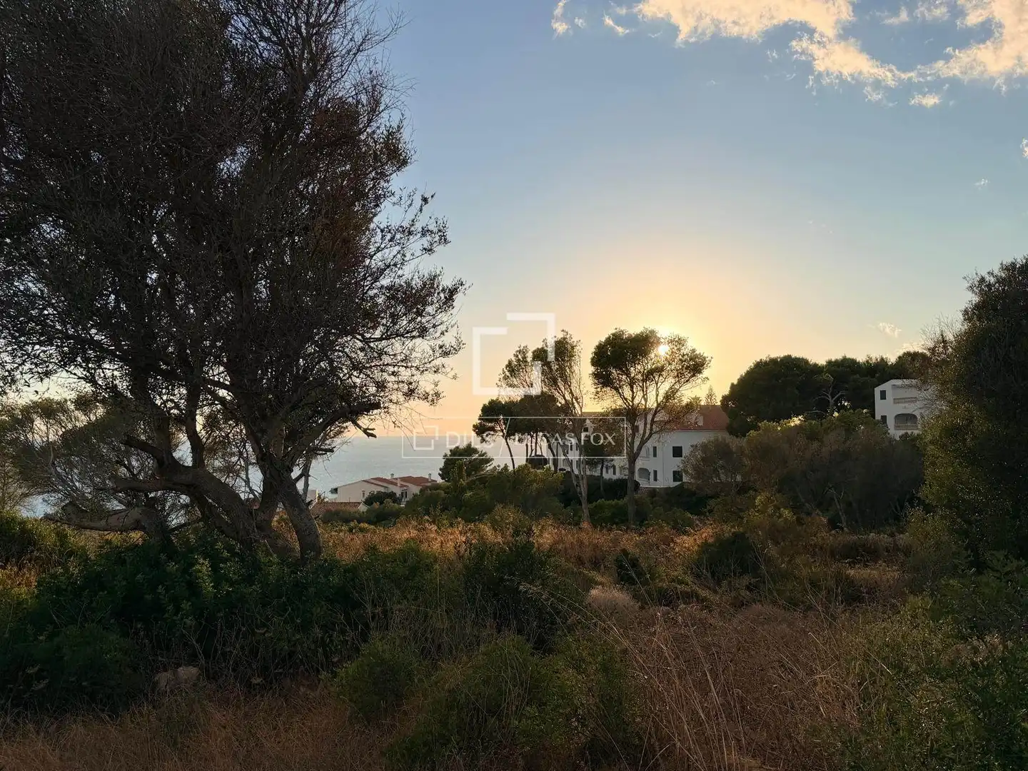 Rustikales Grundstück zum Verkauf in Sant Tomàs, imagen 4