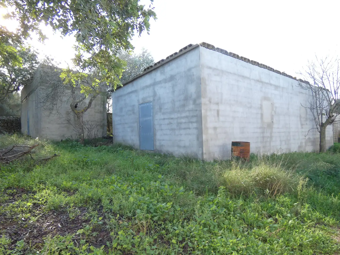 Terreny rústic en venda a Ariany, imagen 9