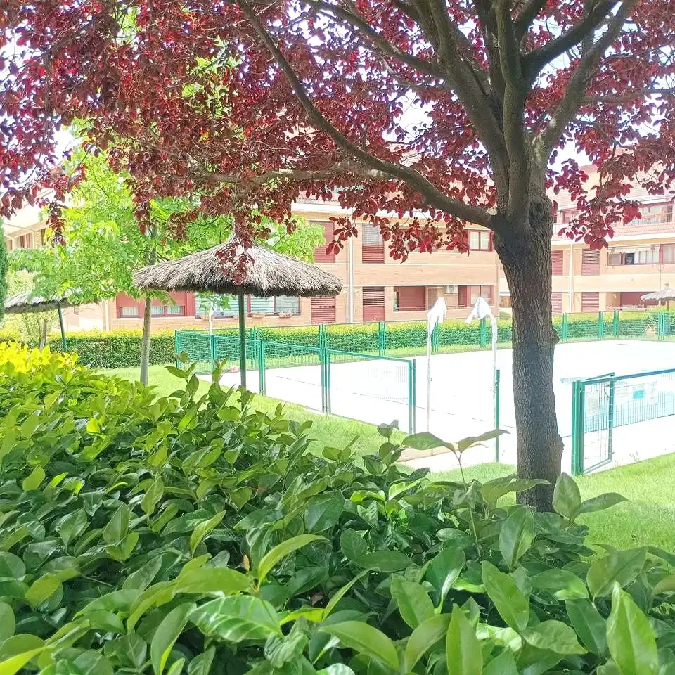 Vista exterior de Pis de lloguer en Las Rozas de Madrid amb Aire condicionat, Calefacció i Terrassa