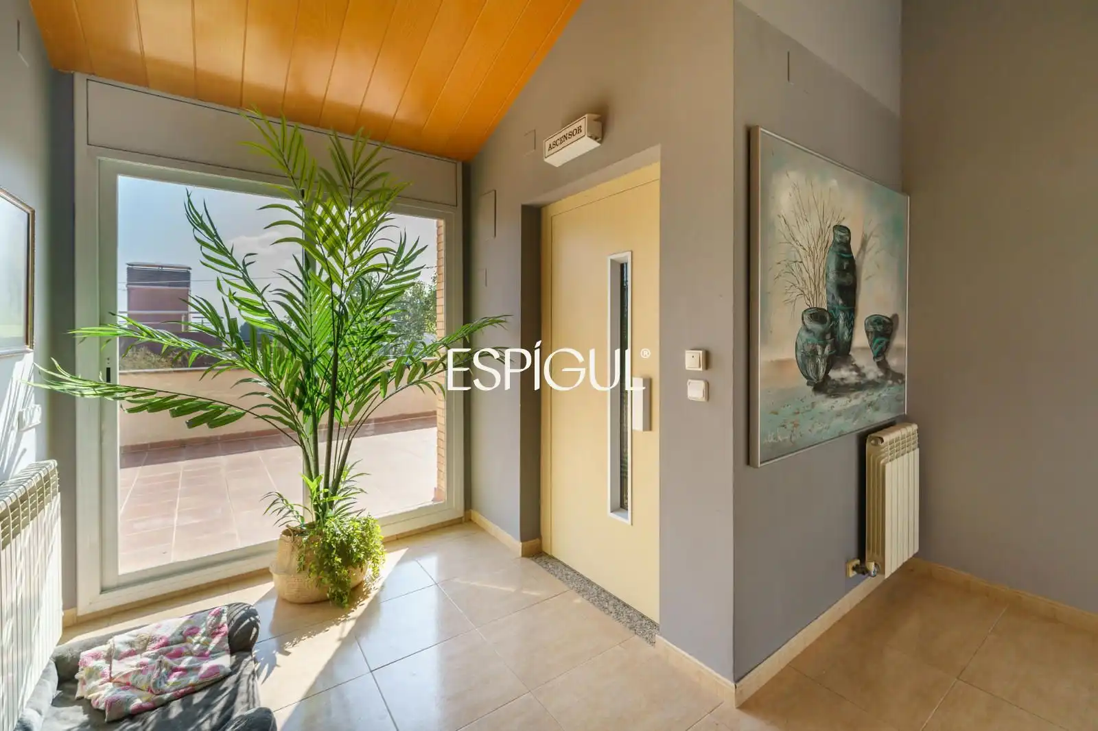 House with terrace for sale in Francesc Corbera, imagen 28