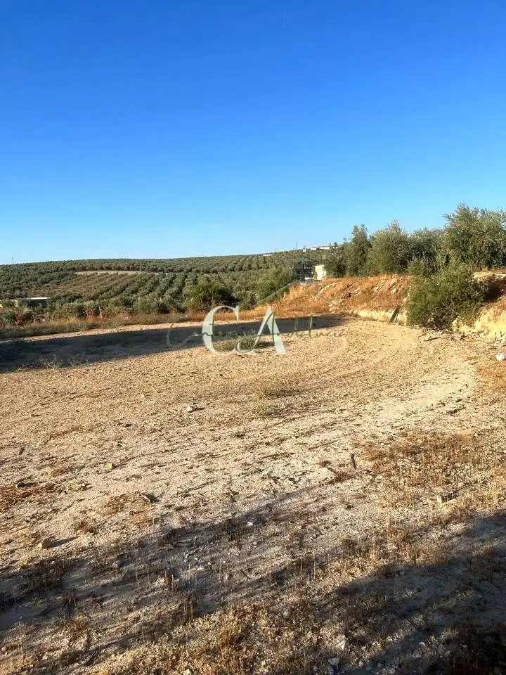 Terreny rústic en venda a A-3133