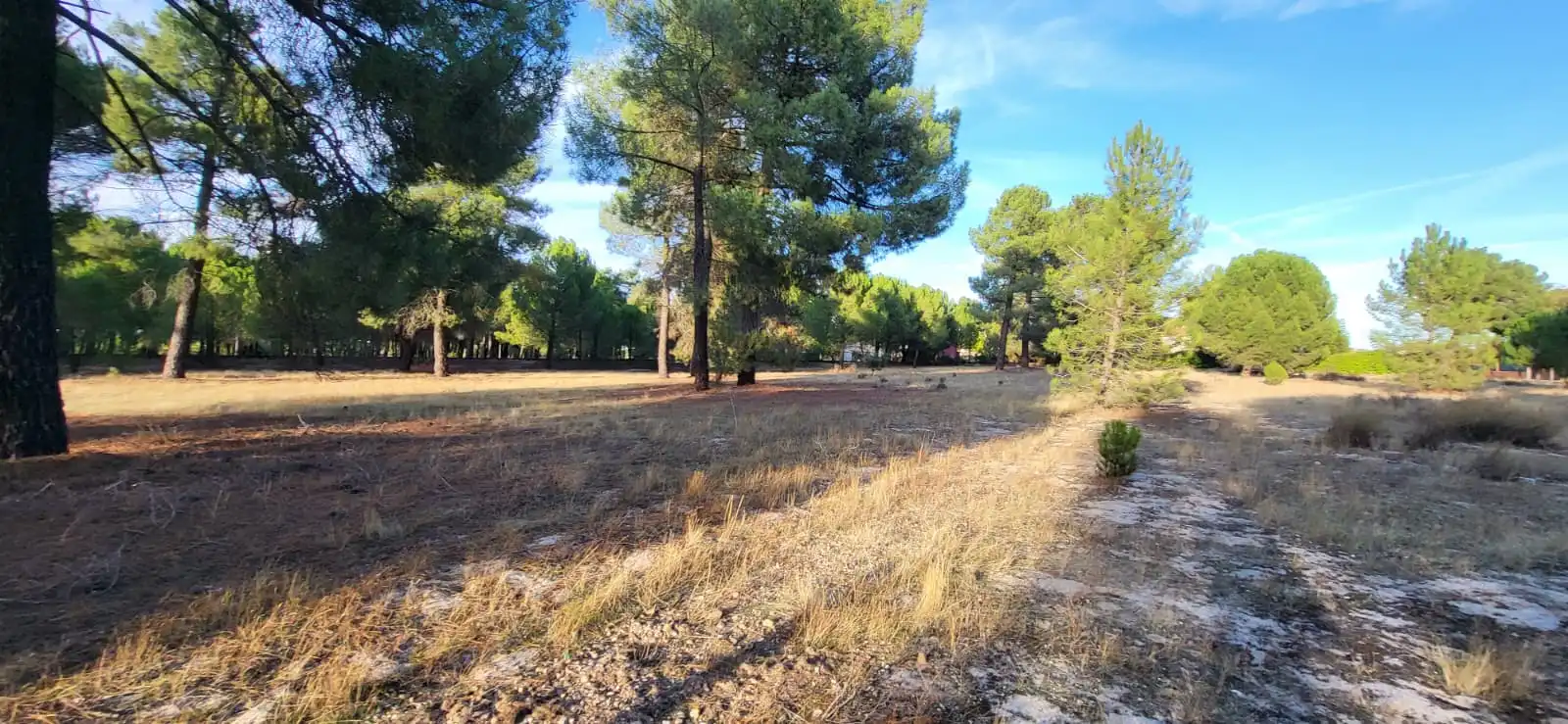 Terreno residenziale in vendita a Calle Santinos 8, imagen 10