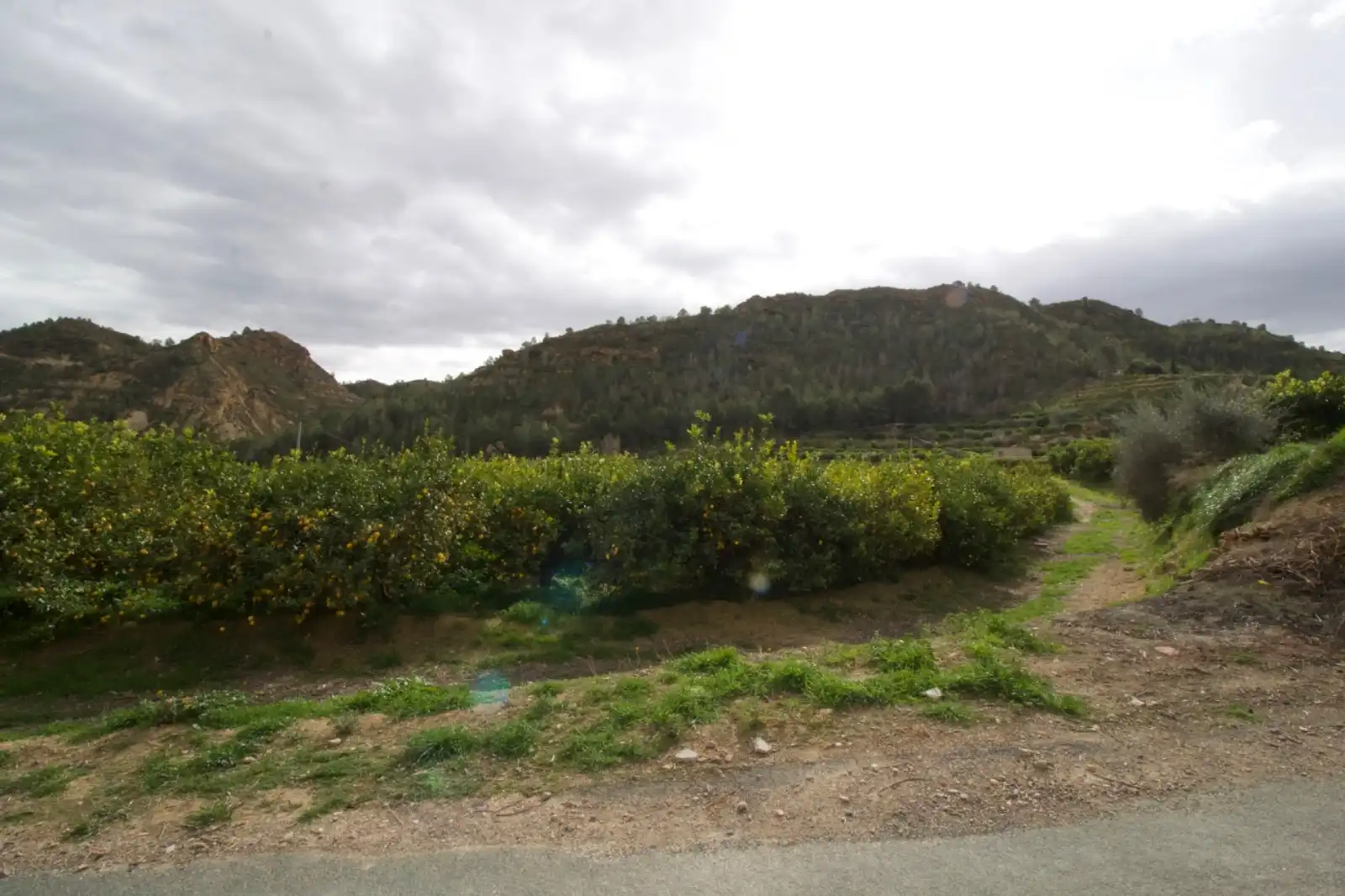 Residencial en venta en Algezares