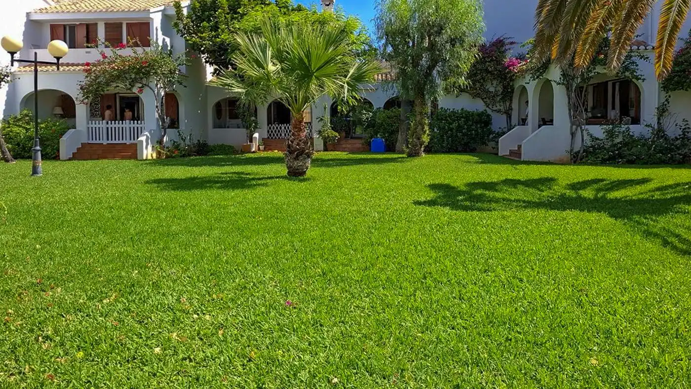 Jardí de Casa adosada en venda en Dénia amb Terrassa, Traster i Piscina
