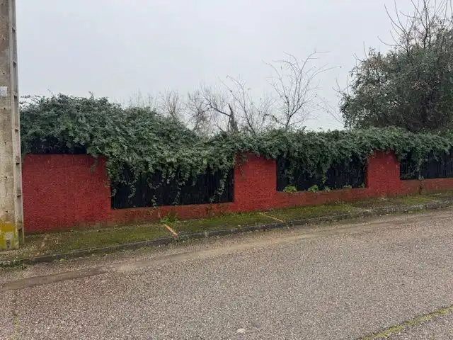 Terreno residenziale in vendita a Alcaudon, imagen 4