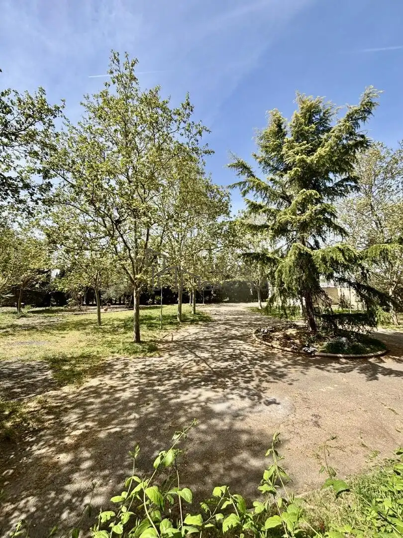 Vista exterior de Casa o chalet en venta en San Mateo de Gállego