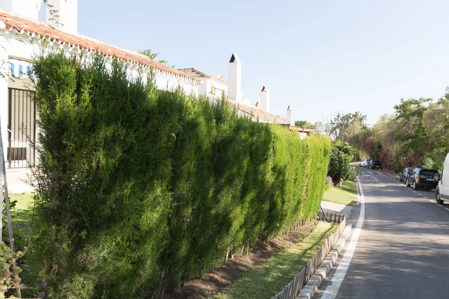 Ground floor for rent in Bello Horizonte - Lindasol