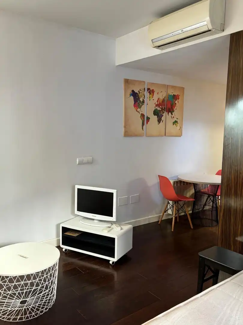 Sala de estar de Estudio de alquiler en Madrid con Aire acondicionado, Calefacción y Amueblado
