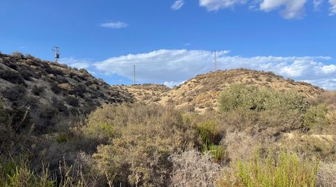 Venta de Finca en el Marraque- Pechina- Rioja, Bajada de Precio !!, immagine 3