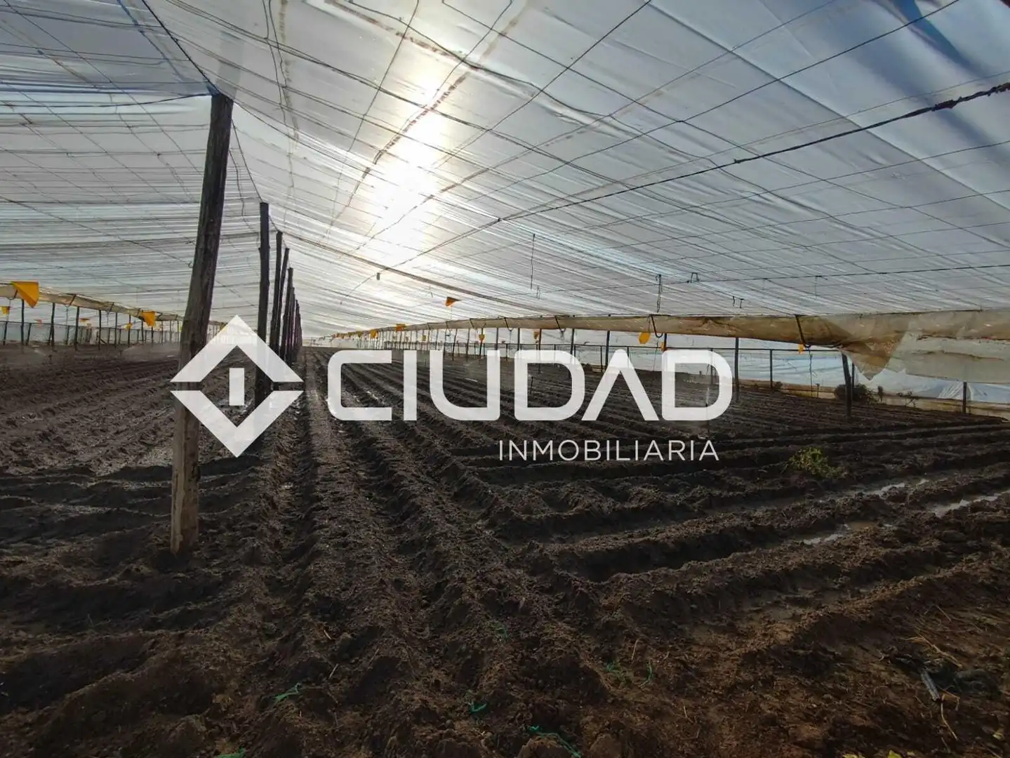 Terreno en venta en Lebrija