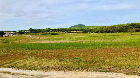 Foto 4 de Finca rústica en venta en Regencós, Girona