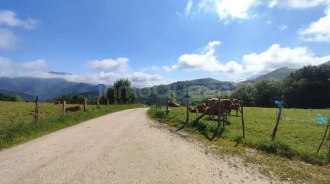 Venta de Terreno rústico en Cabrales  REES40107, immagine 4