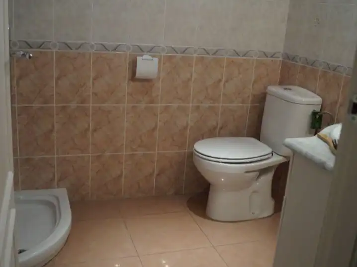 Bathroom of Commercial properties for rent in Aranjuez