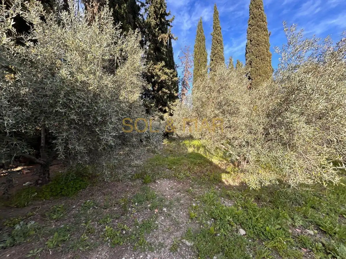 Casa rústica en venta en Nueva Aljaima - Las Tres Leguas - Los Mondeños, imagen 21